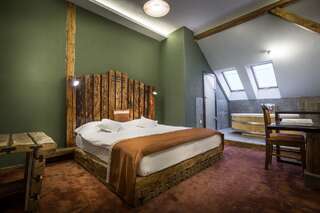 Отель Castle Hotel Daniel Baraolt Стандартный двухместный номер с 1 кроватью или 2 отдельными кроватями-1